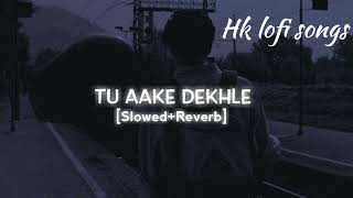 Tu ake dekh le   slowedreverb [upl. by Notxap]