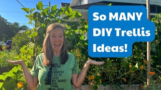 8 Easy DIY Trellis Ideas From Other Gardeners [upl. by Eninej334]