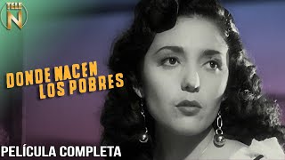 Donde Nacen Los Pobres 1950  Tele N  Película Mexicana Completa [upl. by Artapoelc]