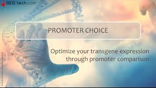 Optimize transgene expression through promoter choice [upl. by Yerffoj]