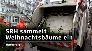 Weihnachtsbäume Stadtreinigung Hamburg hat mit Einsammlung begonnen [upl. by Naivatco]