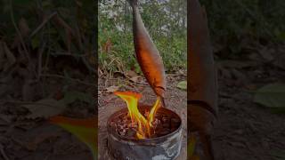 Single mom show SMART idea for survival in forest camping outdoor bushcraft lifehacks [upl. by Clancy]