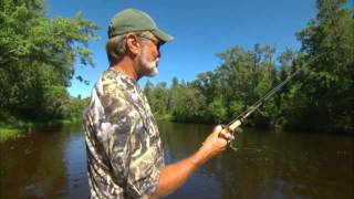 The Fun of Topwater River Musky Fishing [upl. by Feliza]