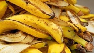 Kompos organik dari kulit pisang dan jantung pisang [upl. by Annoyek427]