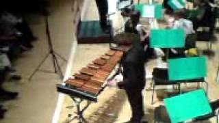 Amazing Xylophone player awesome talent [upl. by Kotz]