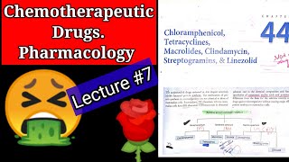 Chemotherapeutic drugs pharmacology lecture7 chapter 44 chloramphenicol tetracycline MACROLIDES [upl. by Enilegna]