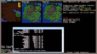 Dwarf Fortress  DFHack Prospect Tutorial [upl. by Dora801]