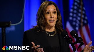 WATCH Kamala Harris visits southern border first time as Dem presidential nominee [upl. by Natika]