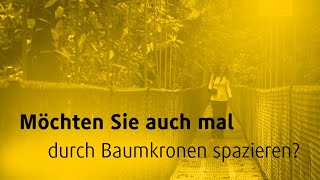 Möchten Sie auch mal  durch Baumkronen spazieren [upl. by Geer]