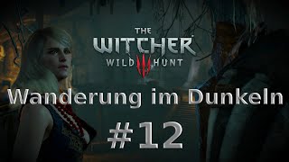 Lets Play The Witcher 3 Gameplay German 12  Wanderung im Dunkeln [upl. by Lucina]