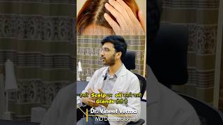 What should the frequency of using shampoo hisar dermatologistgurgaon [upl. by Atir]