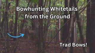 Bowhunting Whitetails from Ground Level [upl. by Irpak107]