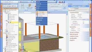 Progettazione e Calcolo delle Strutture in Legno  EdiLusLG 2012  ACCA software [upl. by Nalehp905]