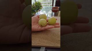 Amla masaledar amp Amla benefits shorts amla gooseberry [upl. by Reh32]