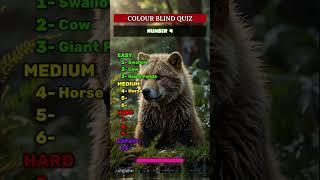 Vision Test Are You Color Blind Find Out Now [upl. by Luciana255]