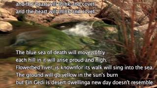 Ein Gedi With Lyrics  Oasis amp Kibbutz in Israel  Israeli folk Music [upl. by Aryajay]