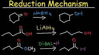 NaBH4 LiAlH4 DIBAL Reduction Mechanism Carboxylic Acid Acid Chloride Ester amp Ketones [upl. by Aidyl17]