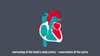 Congenital Heart Conditions [upl. by Ereveniug]