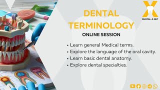 Dental Terminology part 3 [upl. by Nyltiak]