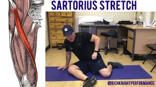 Sartorius Muscle Stretch [upl. by Maram]