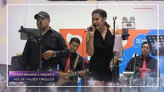 Mix Vals Criollos  quotDelmer Mayanga amp Orquestaquot [upl. by Hogen]