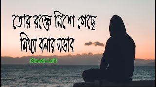 তোর রক্তে মিশে গেছে মিথ্যা বলার স্বভাব  Tor Rokte Missa Geche Mittha Bolar SovabSlowedLofi2022 [upl. by Ahsenit]