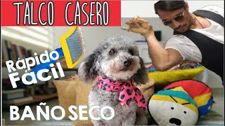 💚 BAÑO EN SECO Y TALCO CASERO PARA PERROS 🐶 [upl. by Aivad]