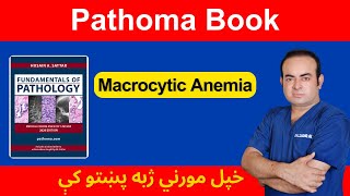 Macrocytic Anemia  Pathoma Book  Pathology [upl. by Temhem632]