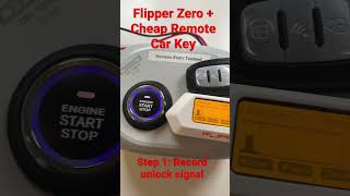 Flipper Zero  Cheap Remote Car Key [upl. by Marylin]