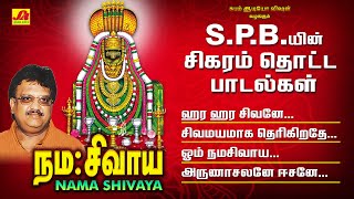 நமசிவாய நமசிவாய பாடல்  Namasivaya Song Subam AudioVision shivansongs devotionalsong spbsongs [upl. by Lim]