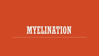 Myelination [upl. by Lyndsie732]