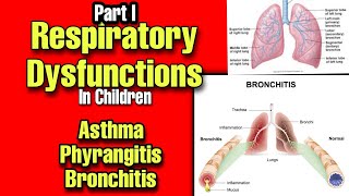 Respiratory Dysfunctions in Children Asthma Pharyngitis amp Bronchitis Symptoms amp Treatment by Tutor [upl. by Demetre]