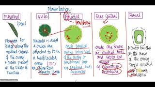 morphology of flowering plants class 11  Aestivation  Placentation  fruits  seed  part 4 [upl. by Ennaoj]