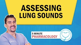 Lung Auscultation Locations Assessment Patho for Nursing students  NCLEX [upl. by Augustus]