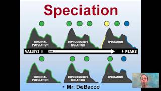 Speciation [upl. by Ael]