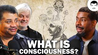 David Chalmers Discusses the Hard Problem of Consciousness [upl. by Hayne]