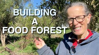 Swale Food Forest  Tour Maintenance and Planting  Permaculture Design [upl. by Liba]