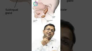 Spotlight on Salivary Gland Cancer Everything you need to know  Dr Amit Chakraborty Mumbai [upl. by Yoo84]