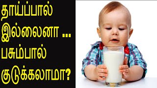 பசும்பால் கொடுக்கலாமா IS COWS MILK SAFE FOR A BABY [upl. by Lynda]