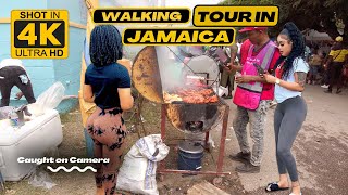 ✔️Walking Tour DENBIGH AGRICULTURAL SHOW 2023 Largest Agricultural Expositions In The Caribbean 4K [upl. by Camp139]