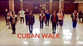 Cuban Walk Line Dance I Just Want To Dance With You [upl. by Obadiah]