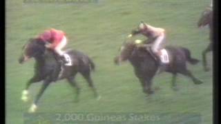 1972 2000 Guineas Stakes [upl. by Artinad803]