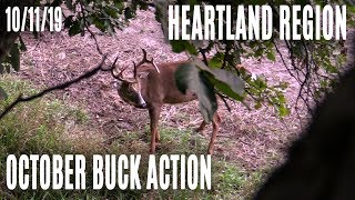 Heartland  October Buck Action Loud Snort Wheeze [upl. by Attenborough443]