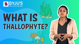 What is Thallophyte [upl. by Enyrehtak]