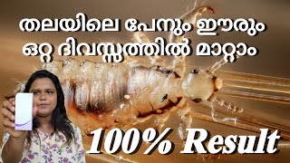 പേനും ഈരും താരനും മാറ്റം ഒറ്റ ദിവസ്സം കൊണ്ട് How to remove Lice and Nit from hair in malayalam [upl. by Samuella]