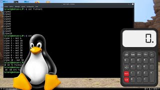 Mini tuto  Compter les mots caractères et lignes dun résultat sous Linux [upl. by Tigges]