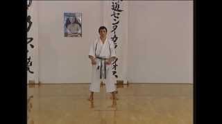 Gojushiho Dai  Efthimios Karamitsos  Karate  Kata  Shotokan [upl. by Elicec830]