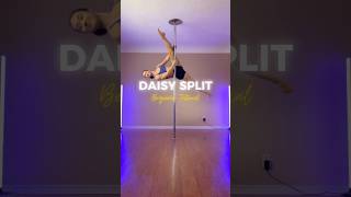 Daisy Split Tutorial [upl. by Salome261]