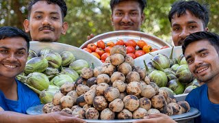 LITTI CHOKHA  Bihars Famous Litti Chokha Recipe  Village Rasoi [upl. by Lichtenfeld]