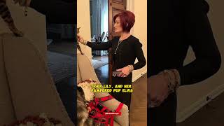 Sharon Osbourne amp Daughter Aimees Shopping Spree at Neiman Marcus [upl. by Brittani]